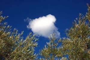 Get over the buzz words, what does this cloud thing mean for you?